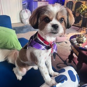 🌴Tammy & Coco ❤️MOVING SALE🌴